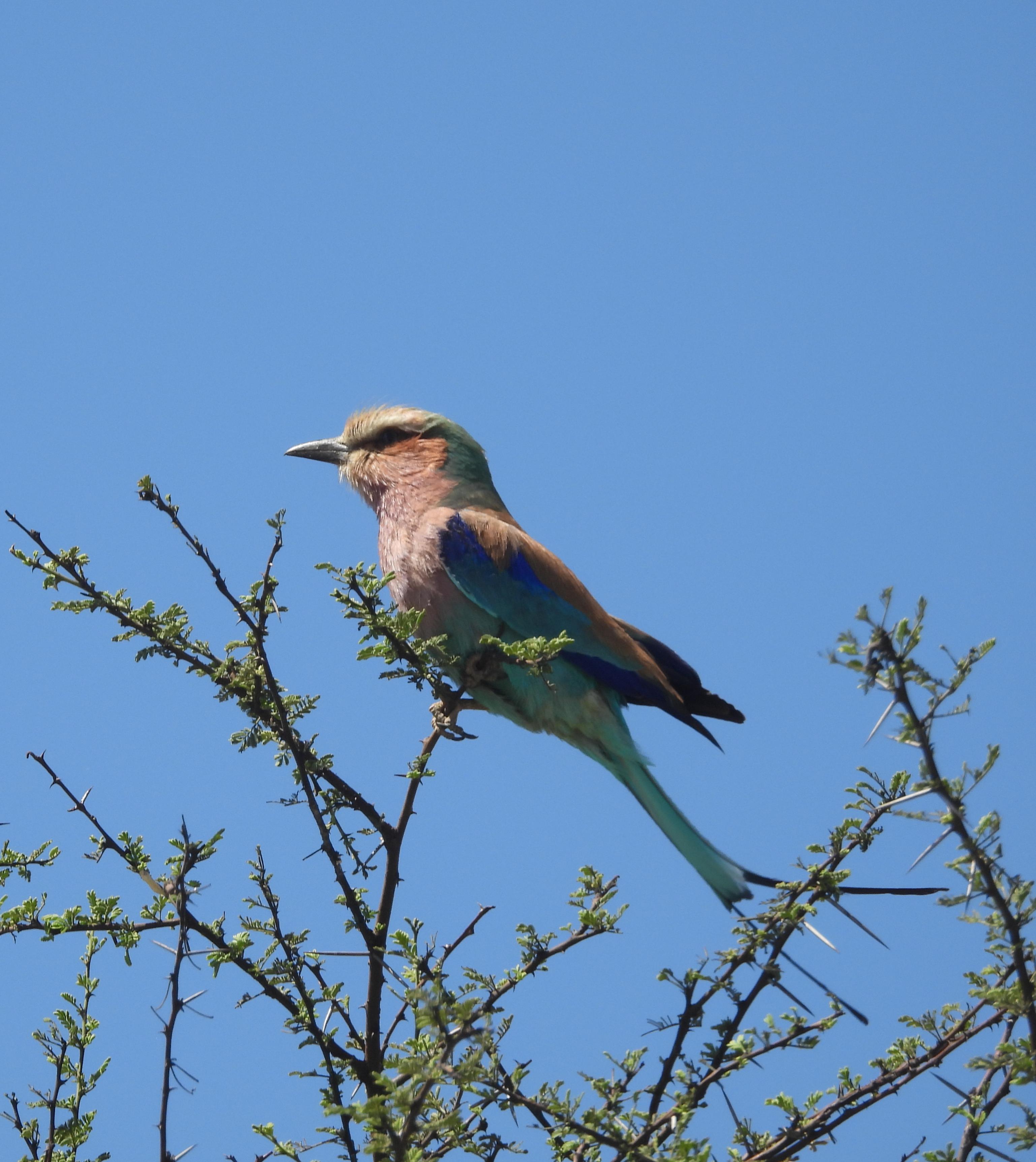 All Photos Jann Segal